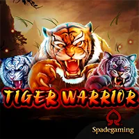 tiger warrior
