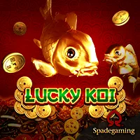 lucky koi