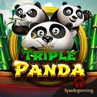 triple panda