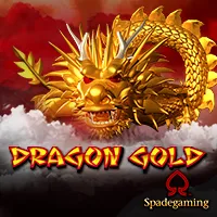 dragon gold