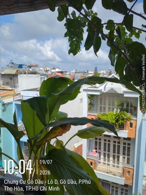 https://res.cloudinary.com/dqh0wvgmg/image/upload/v1785482555/nha-dat/jeijsmzkon8yndunnabc.jpg