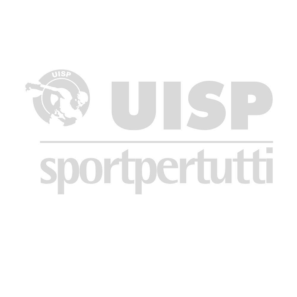 Logo UISP