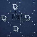 Dior Printed Blue Premium Quality Polo Tees-thumb-3