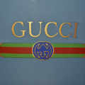 Gucci Embroidered logo Premium Quality Underwear-thumb-2