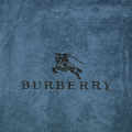 Burberry Embroidery Logo Blue Premium Towel - Set of 2-thumb-1