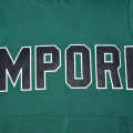 Emporio Armani Green Premium Quality Hoodie-thumb-5