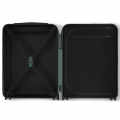 Louis Vuitton Green Premium Cabin Trolley Bag-thumb-4