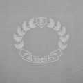 Burberry Grey Premium Quality Polo Luxury T-shirt-thumb-3