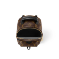 Louis Vuitton Palm Springs Mini Bag-thumb-3