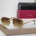 Cartier Brown Luxury Sunglasses-thumb-0