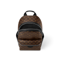 Louis Vuitton Palm Springs Bag-thumb-2