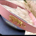 Sabyasachi Royal Bengal Tiger Logo Pink Belt-thumb-2