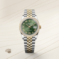 Rolex Datejust Yellow Rolesor - combination of Oystersteel and yellow gold, M126283RBR-0011-thumb-7