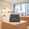 Louis Vuitton Cappucines Blue Denim Series Bag-thumb-2