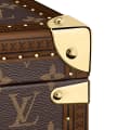 Louis Vuitton Brown Luxury 8 Watch Box-thumb-3