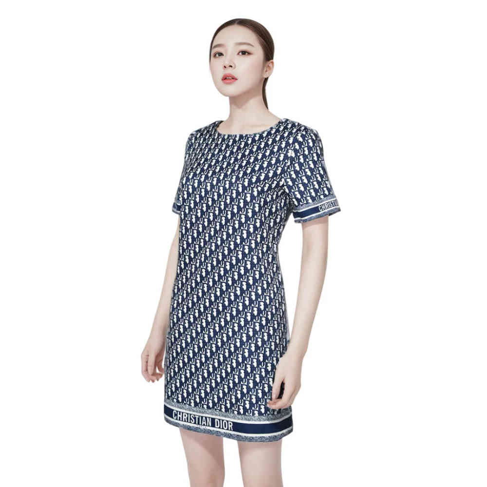 Christian Dior Blue Premium Quality Dress-1