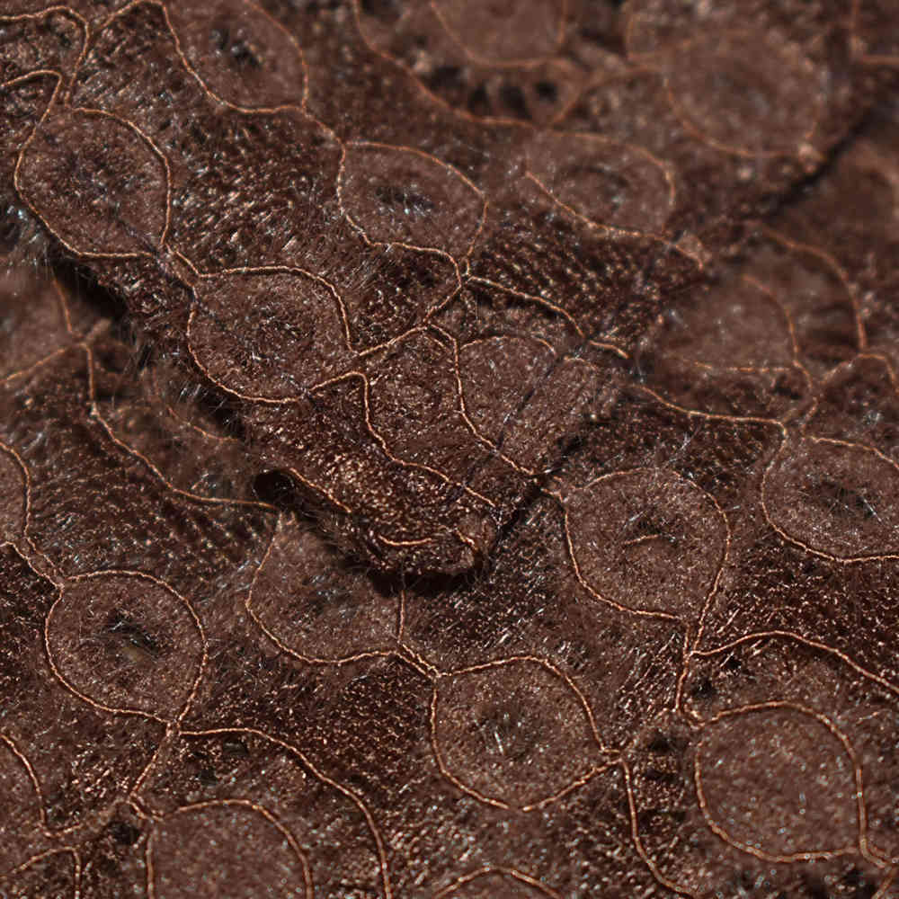 Gucci Brown Premium See-through Men's Shirt-3