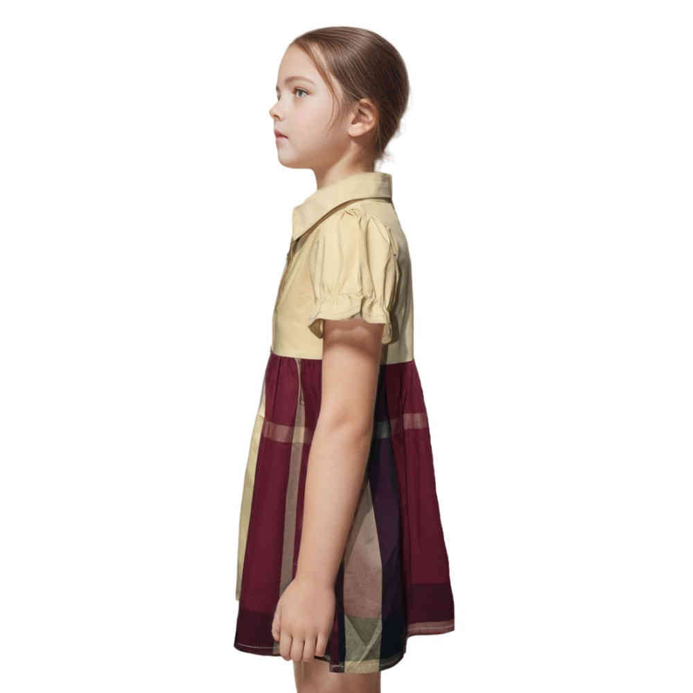 Burberry Brown Premium Quality Dress-thumb-2