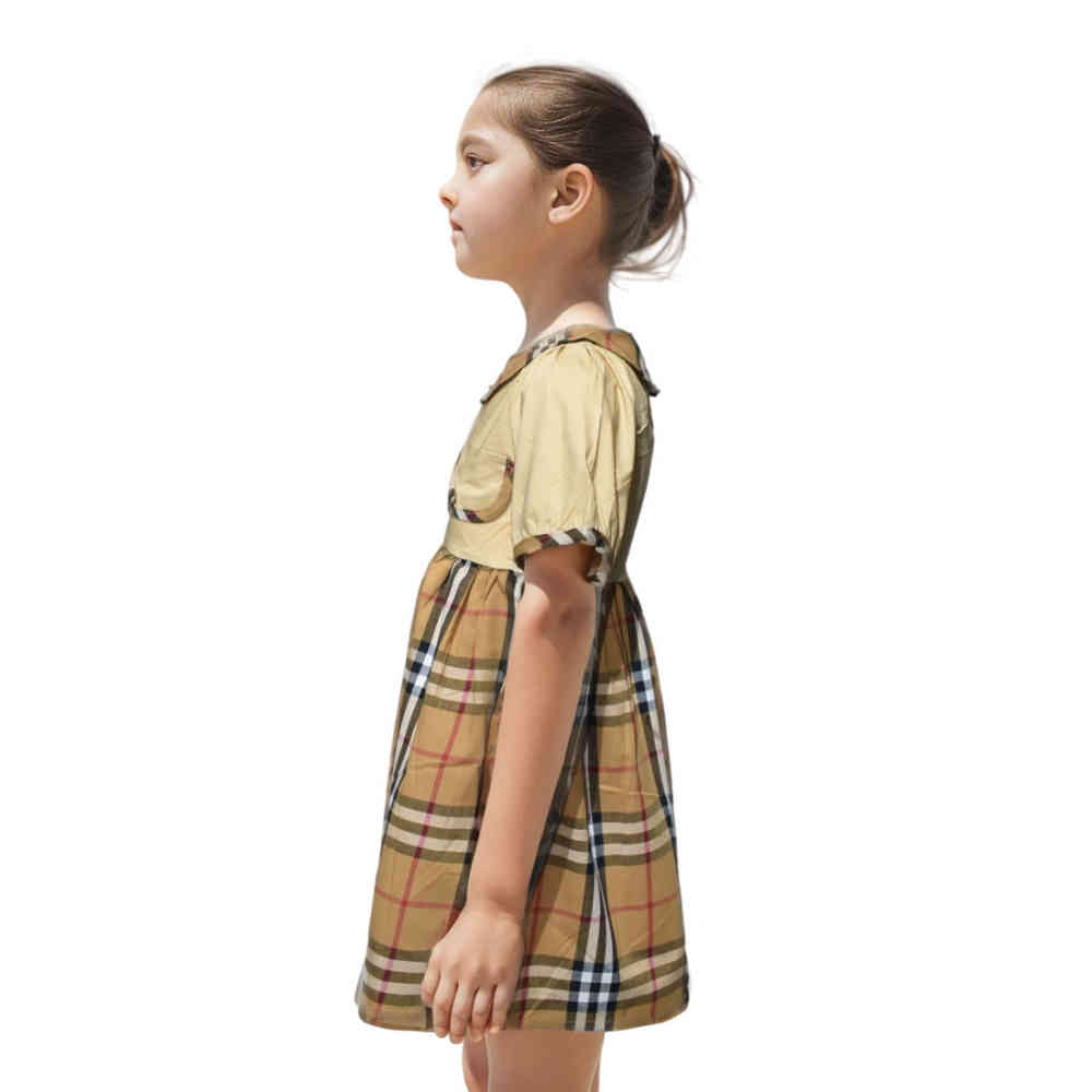 Burberry Brown Premium Quality Dress-2