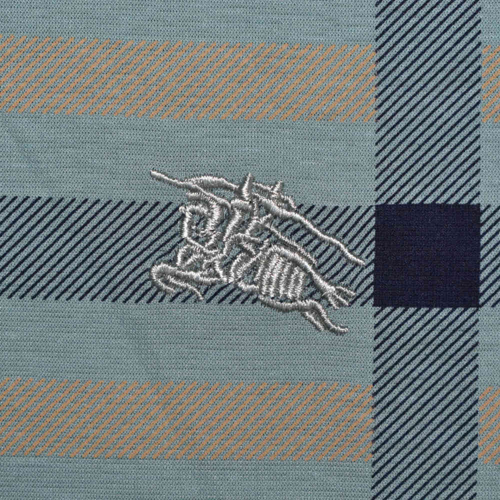 Burberry Green Premium Quality T Shirt-3