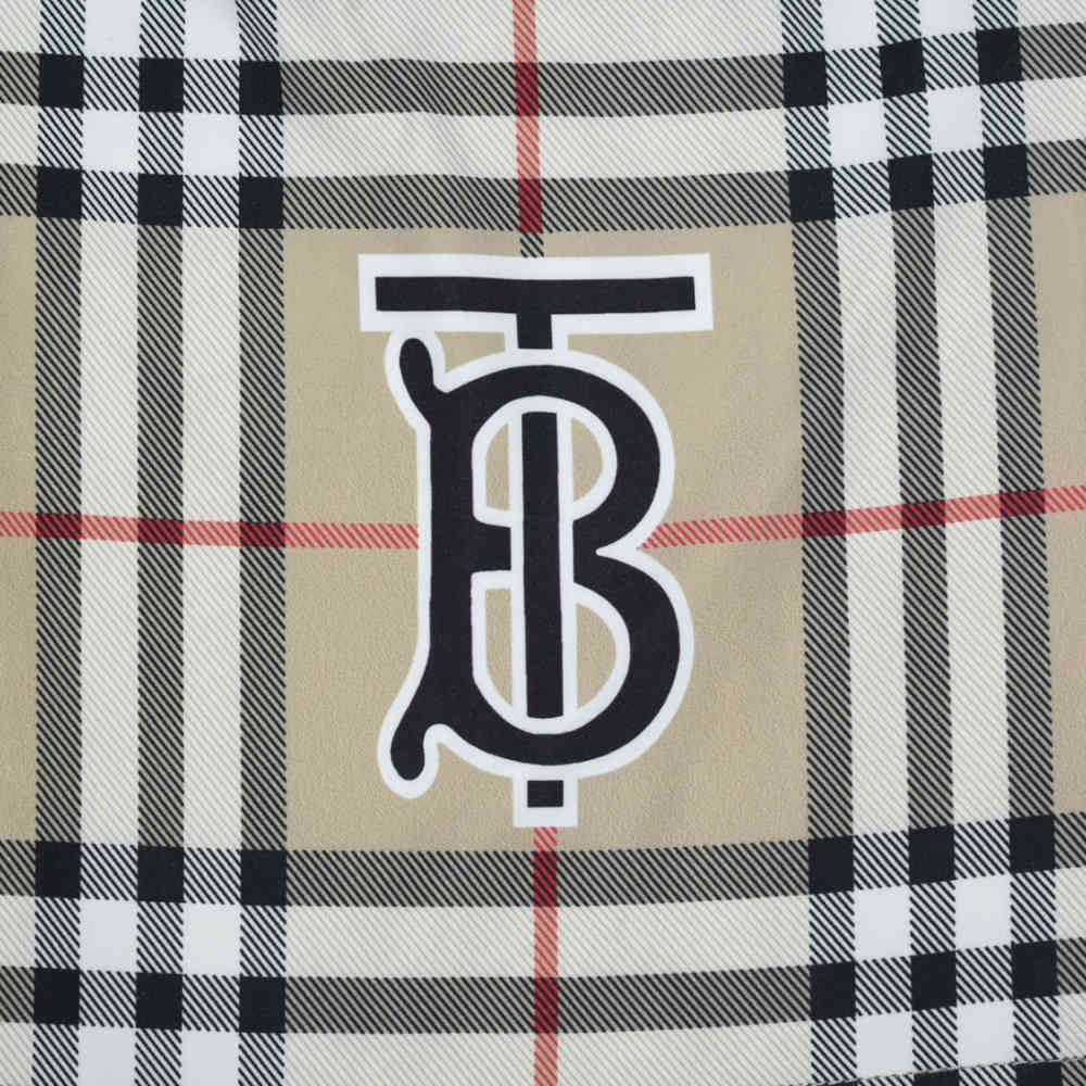 Burberry Brown Check Premium Quality Men's Shorts-2