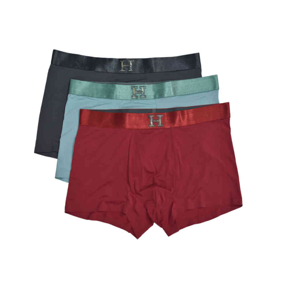Hermes Premium Quality Underwear-thumb-0