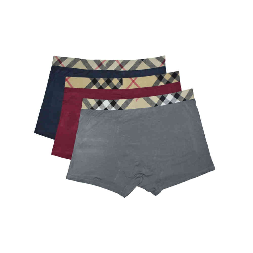 Burberry Premium Quality Underwear-1