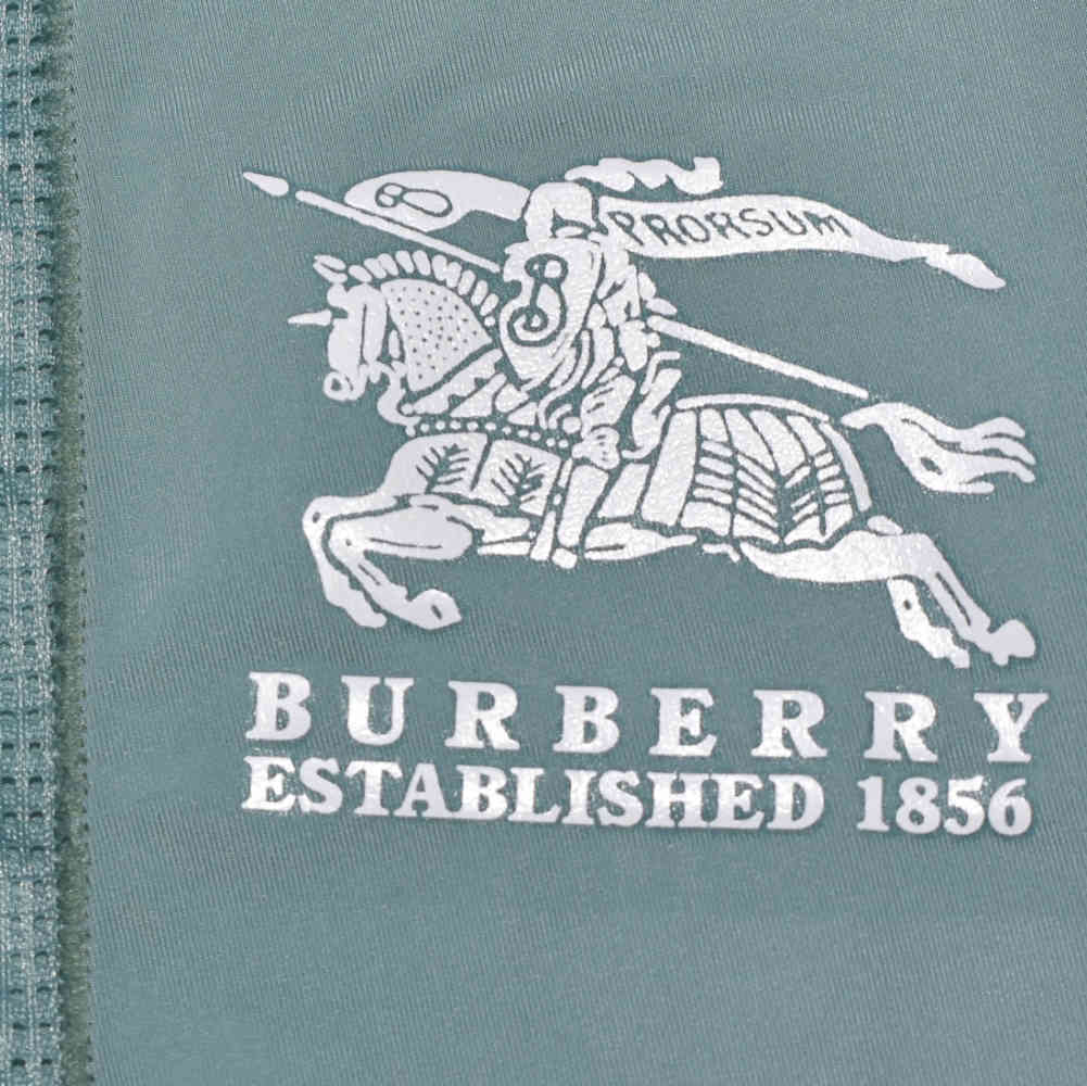 Burberry logo Print Premium Quality Underwear-2