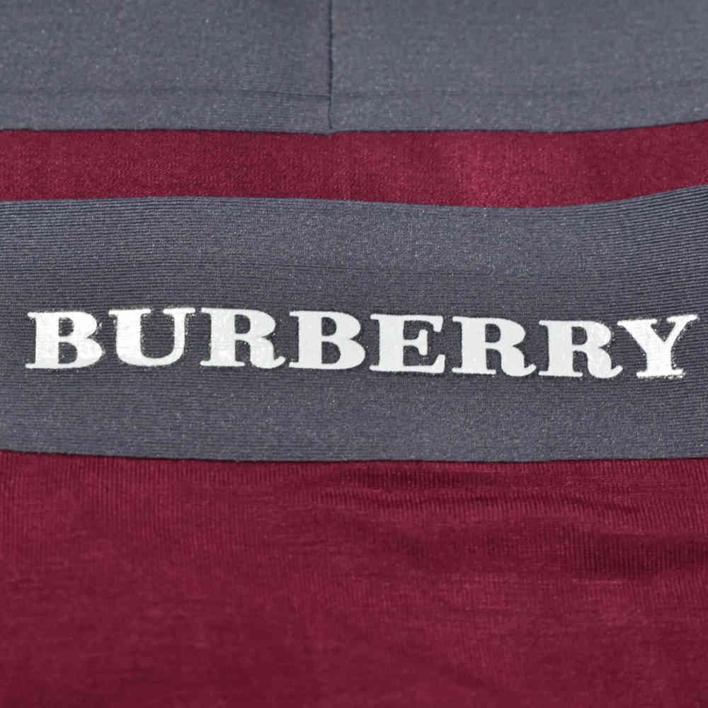 Burberry Premium Quality Mens Underwear-2