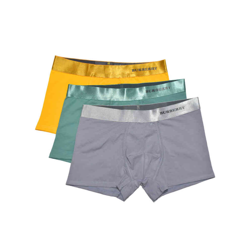 Burberry Premium Quality Synthetic Underwear-thumb-0