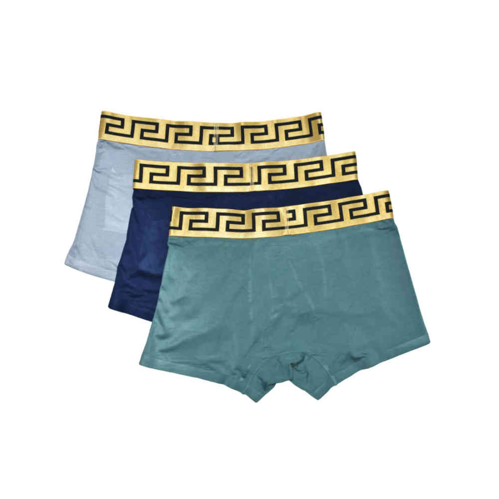 Versace logo Print Premium Mens Underwear-1