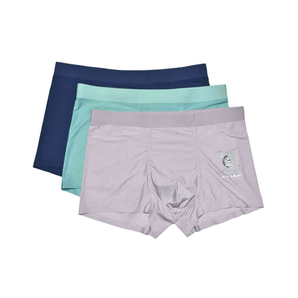 Louis Vuitton Premium Quality Underwear-thumb-0