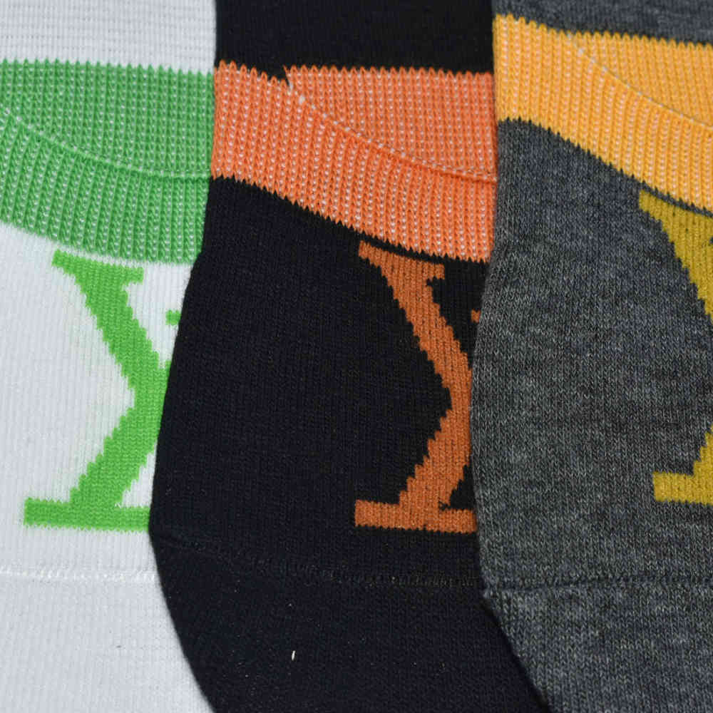 Louis Vuitton Embroidery Luxury No Show Socks-2