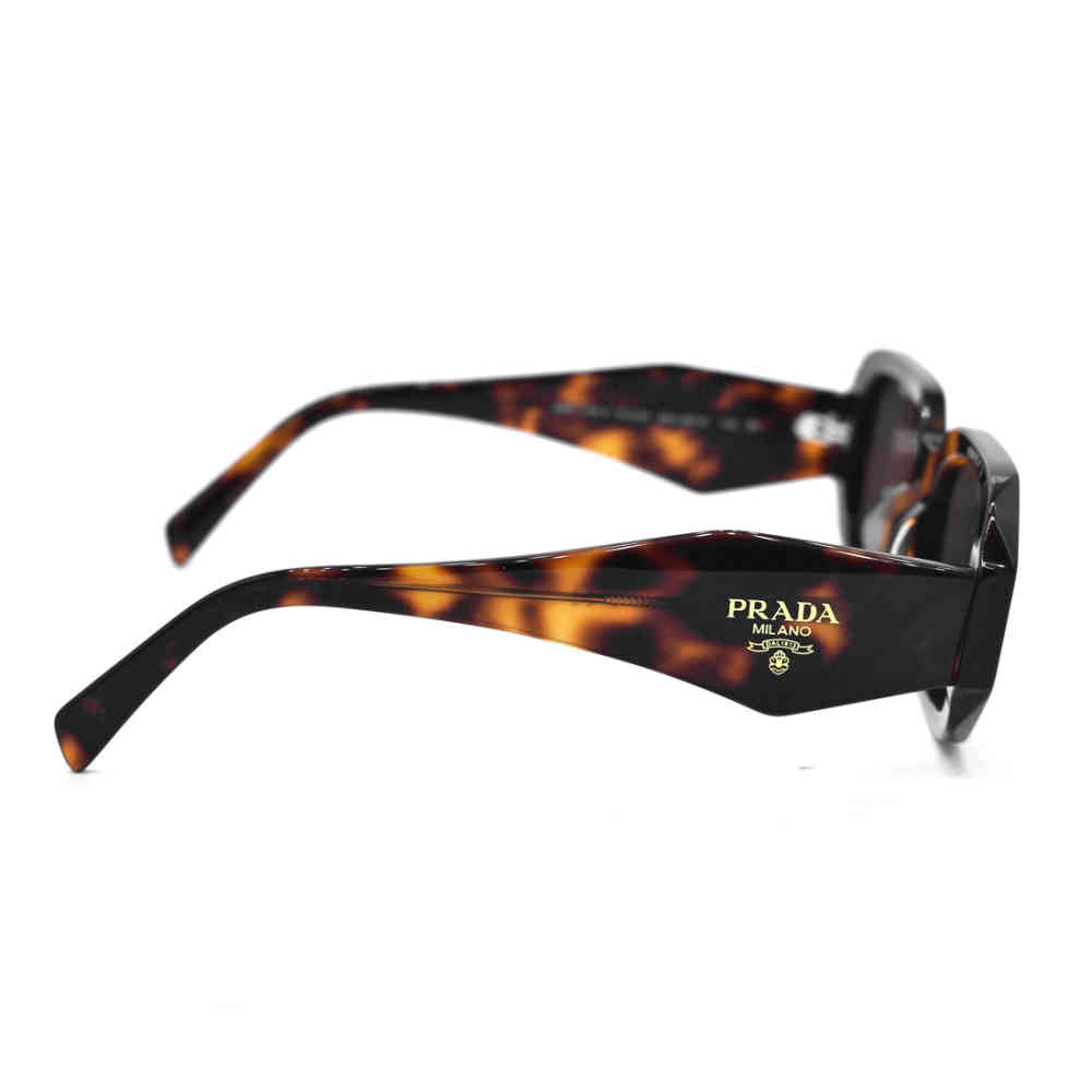 Prada Black & Brown Acetate Premium Sunglasses-thumb-3