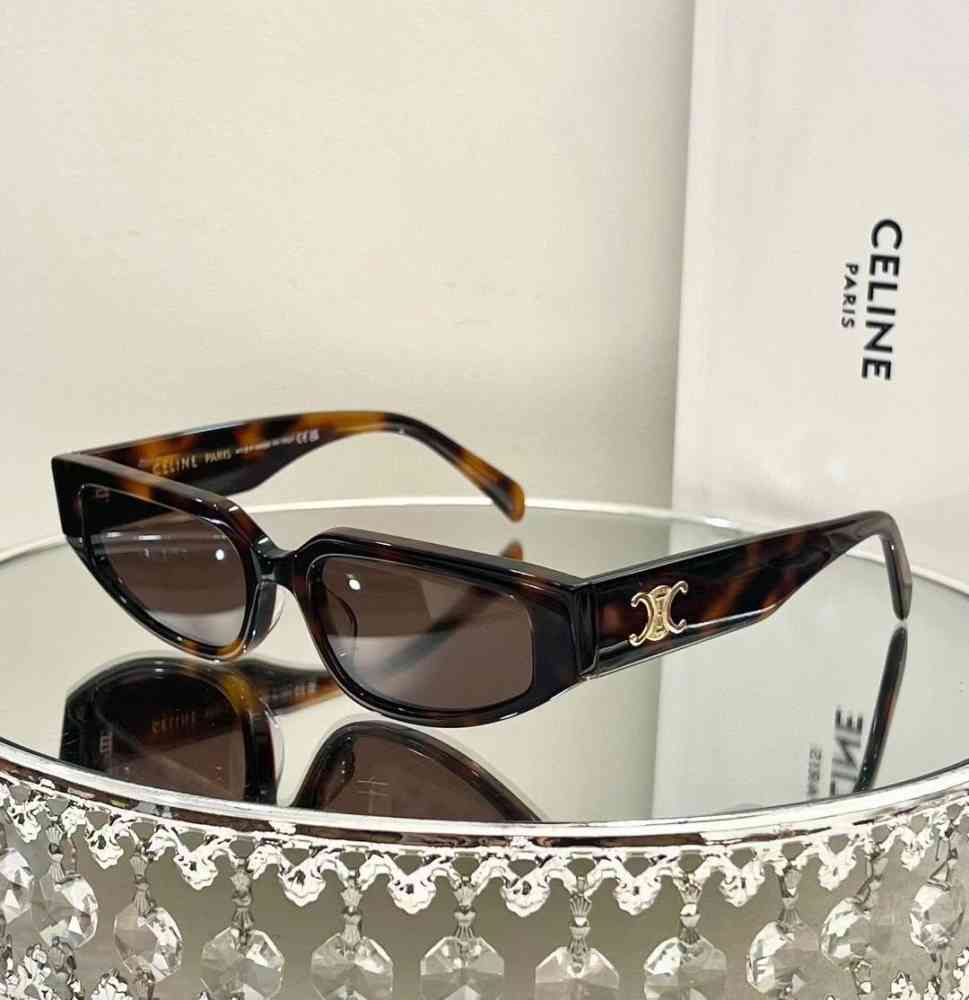 Brown Celine Black & Silver Luxury Sunglasses