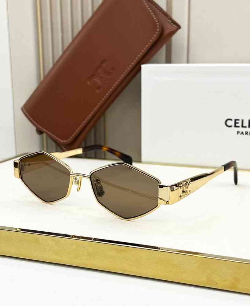 Brown Celine Black & Silver Luxury Sunglasses