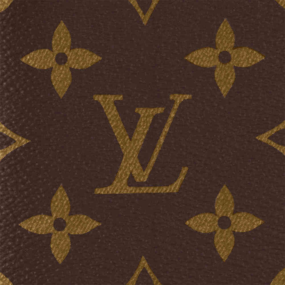Louis Vuitton Brown Premium Long Wallet-4