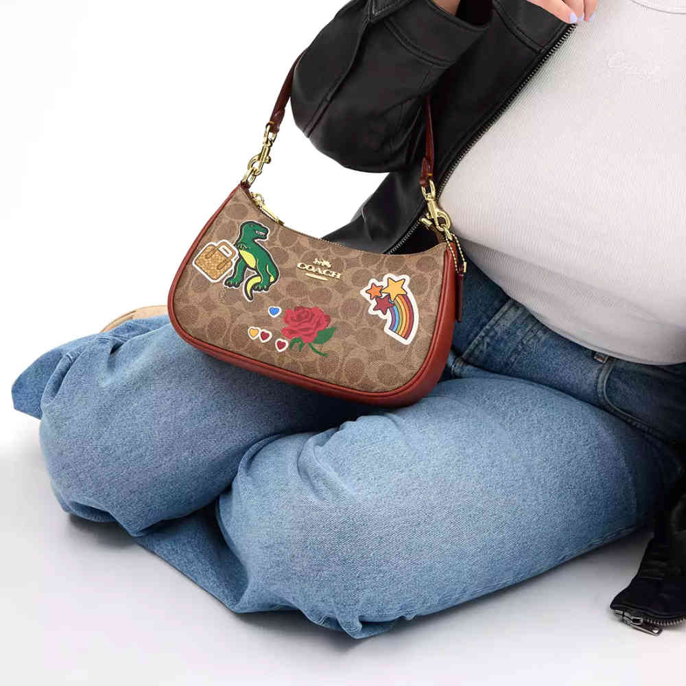 COACH Teri In Signature Canvas & Leather With Sticker Print Shoulder Bag-4