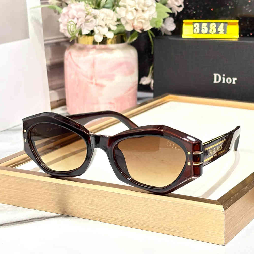 Brown Dior Black & Silver Premium Women's Sunglasses