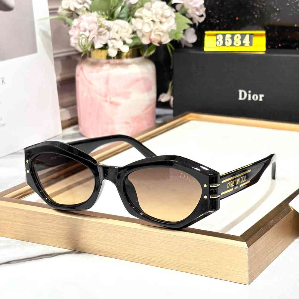 Black & Brown Dior Black Premium Women's Sunglasses