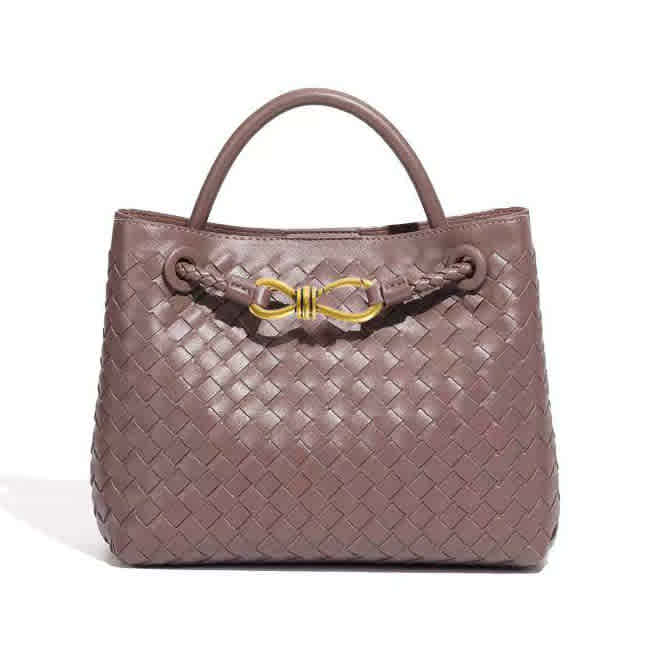 Beige Bottega Veneta Andiamo Brown Handbag