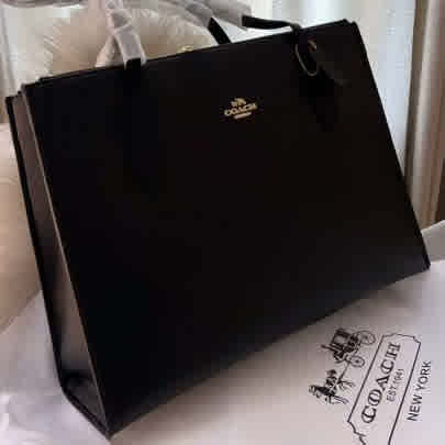 Coach Nina Carryall Premium Tote Bag-2