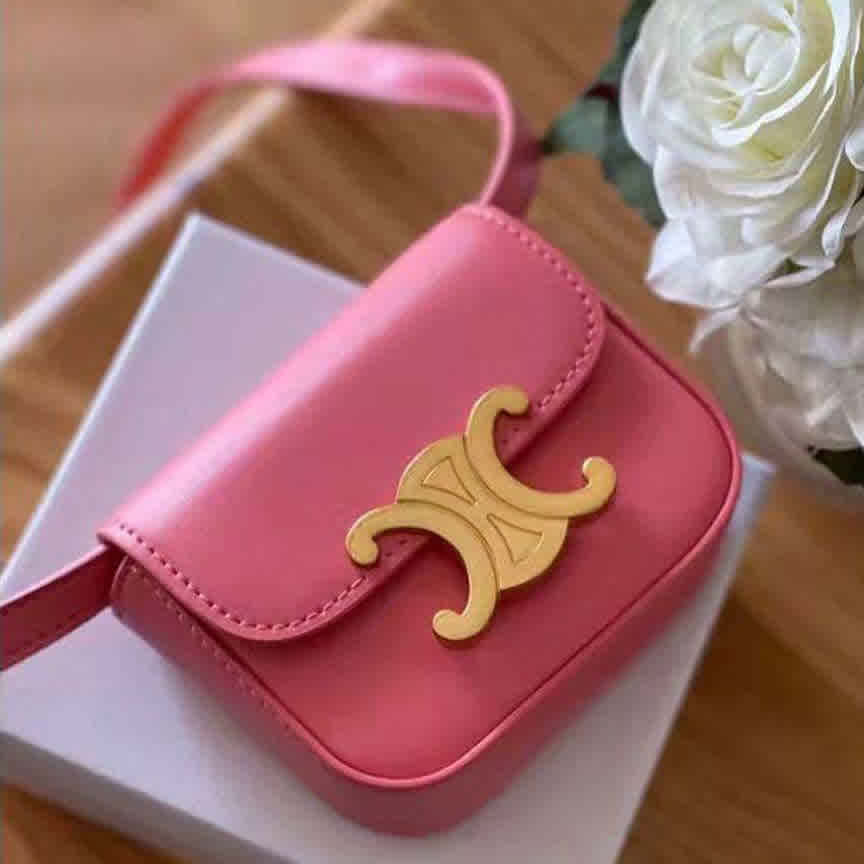Pink Celine Nano Brown Sling Bag