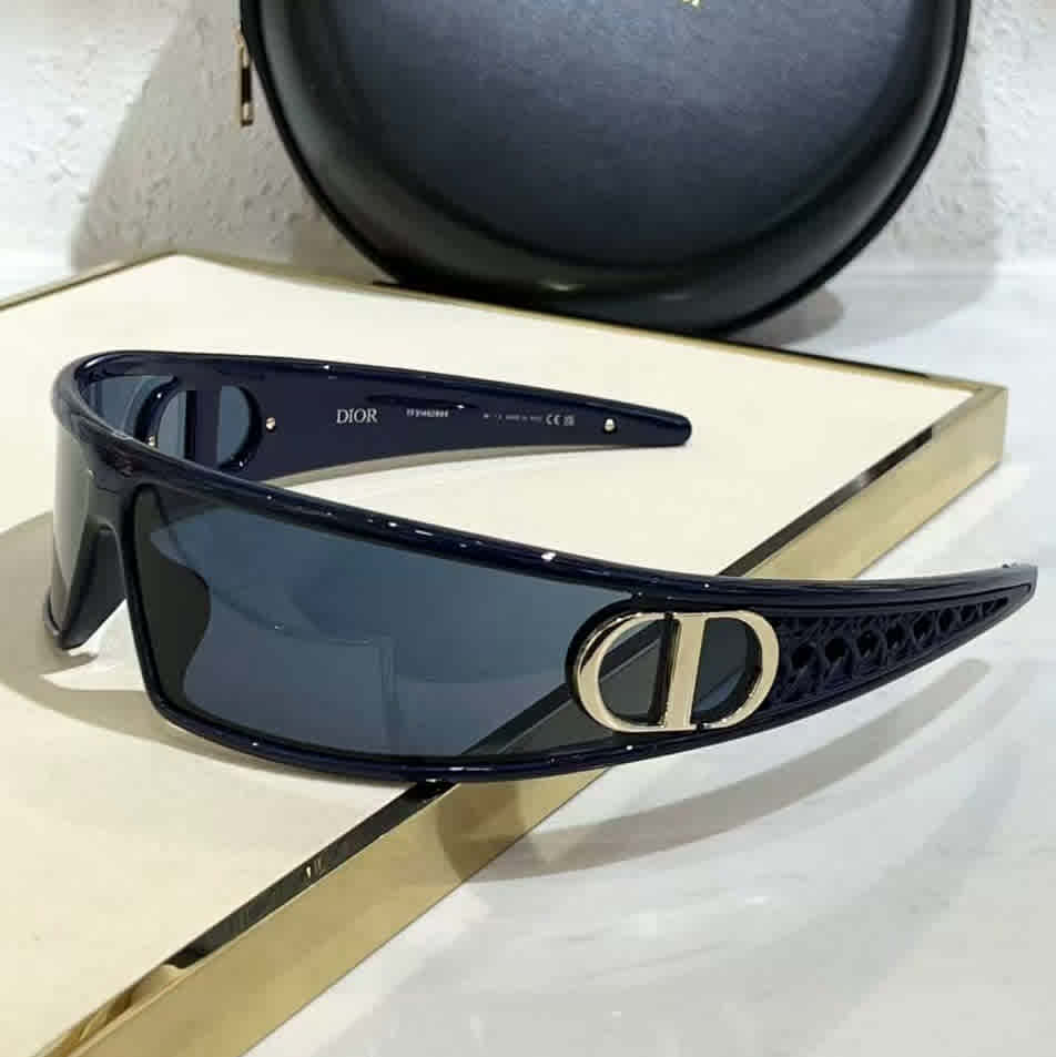 Black Dior Black & Brown Luxury Sunglasses