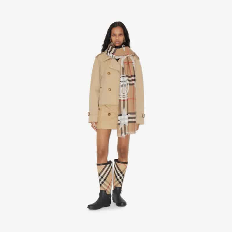 Burberry Designer Reversible All Weather Beige Silk Stole-3