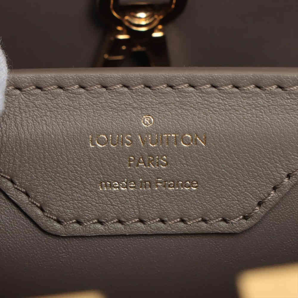 Louis Vuitton Capucines BB Since 1854 Monogram Jacquard Handbag-7