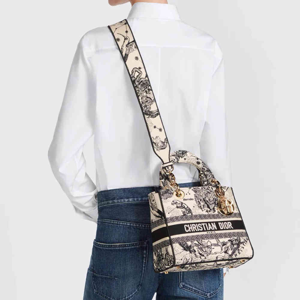 Lady Dior Embroidered Cream Handbag-thumb-4