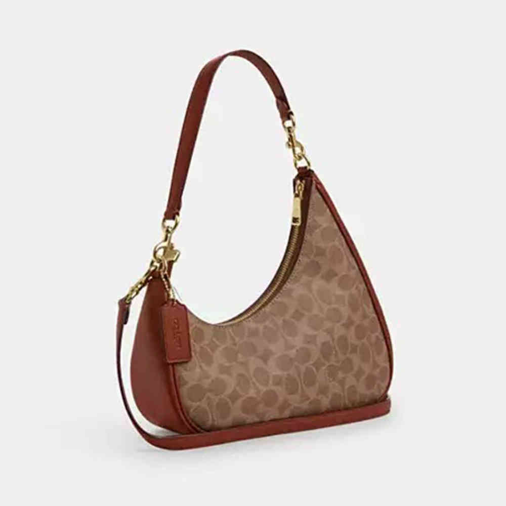 Coach Teri Twisted Brown Shoulder Bag-1
