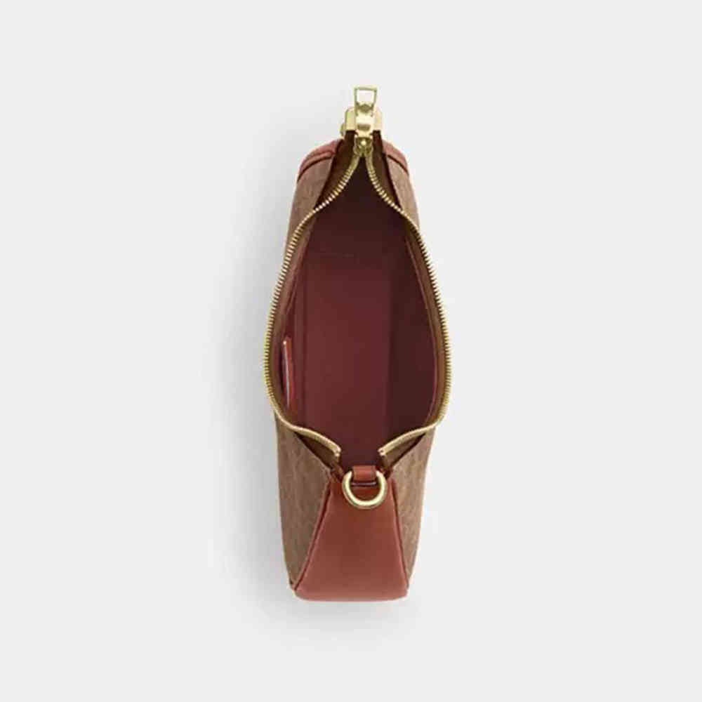 Coach Teri Twisted Brown Shoulder Bag-2