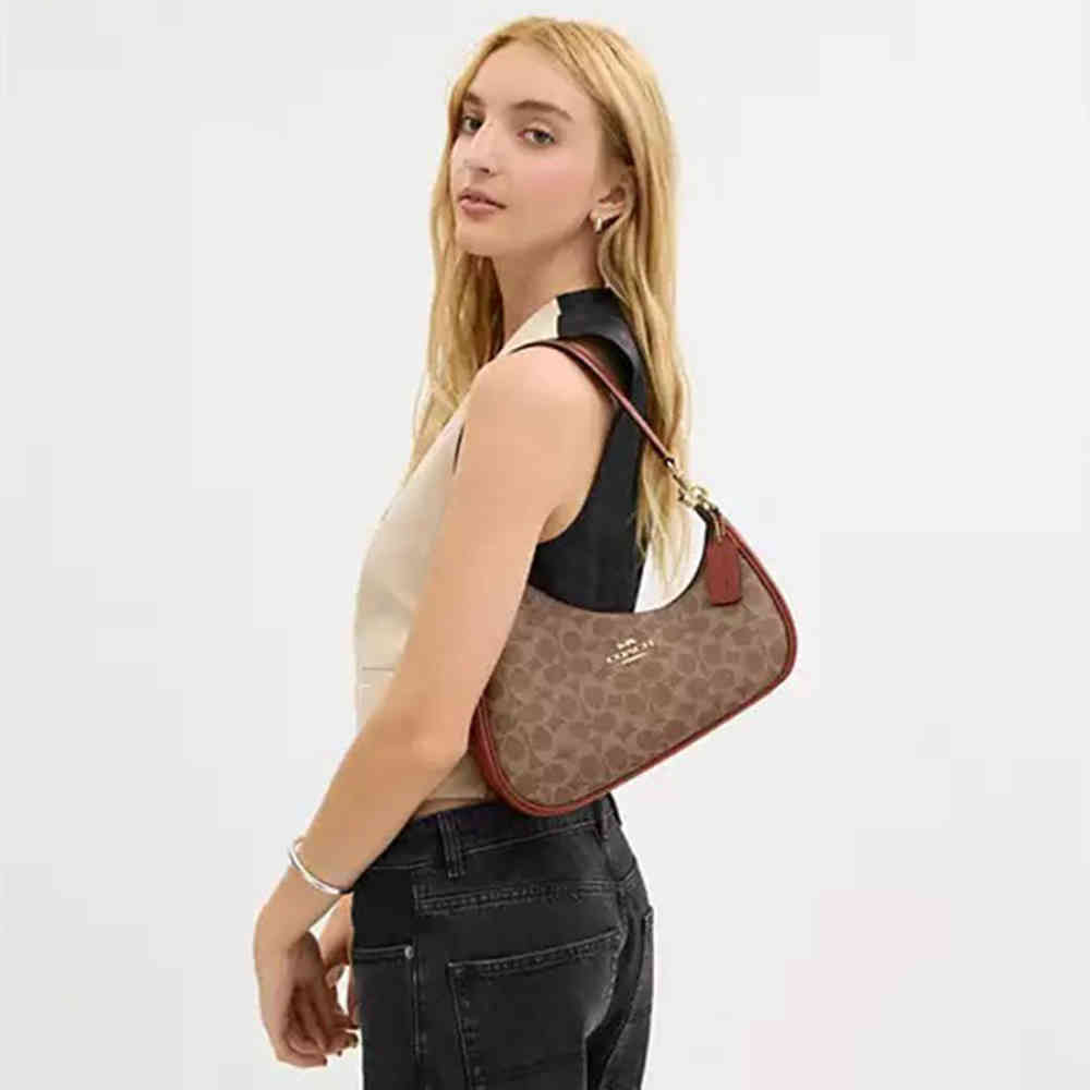Coach Teri Twisted Brown Shoulder Bag-4